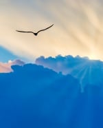 iStock-1341969992.jpg